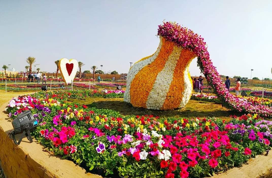 Image of Sabarmati Riverfront Flower Park